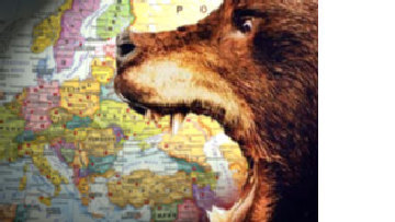 bear