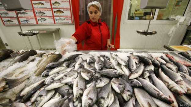 Fish